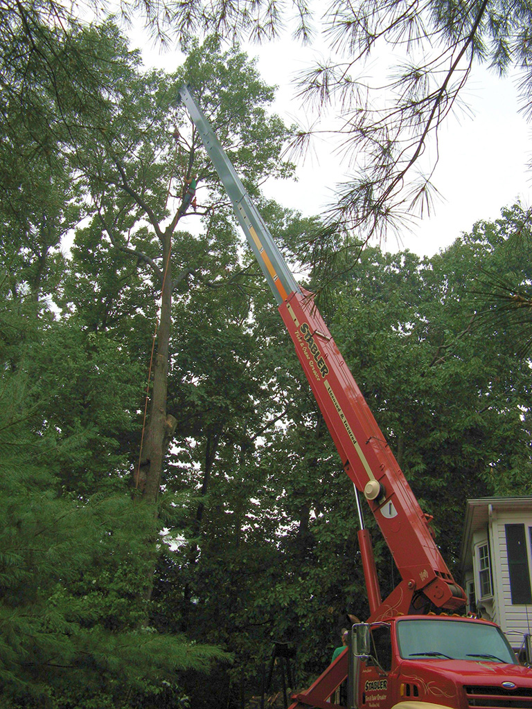 tree pruning