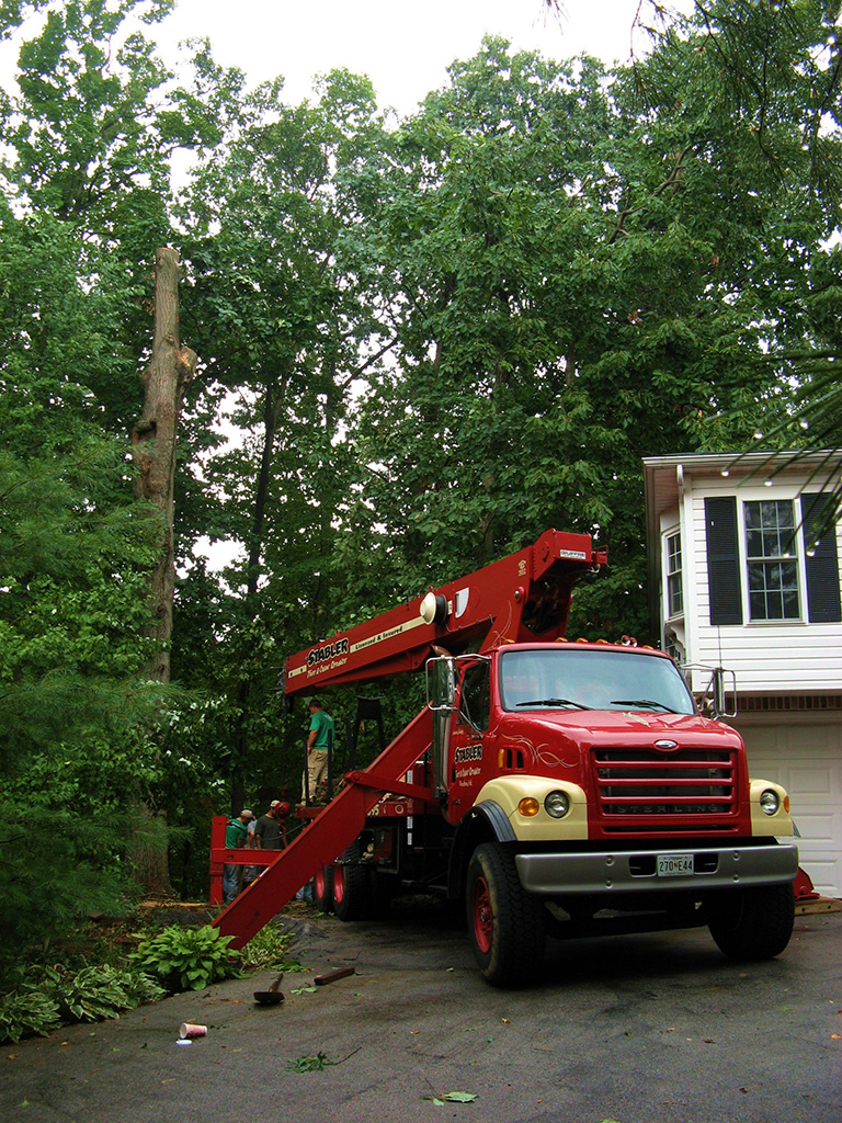 west friendship tree service