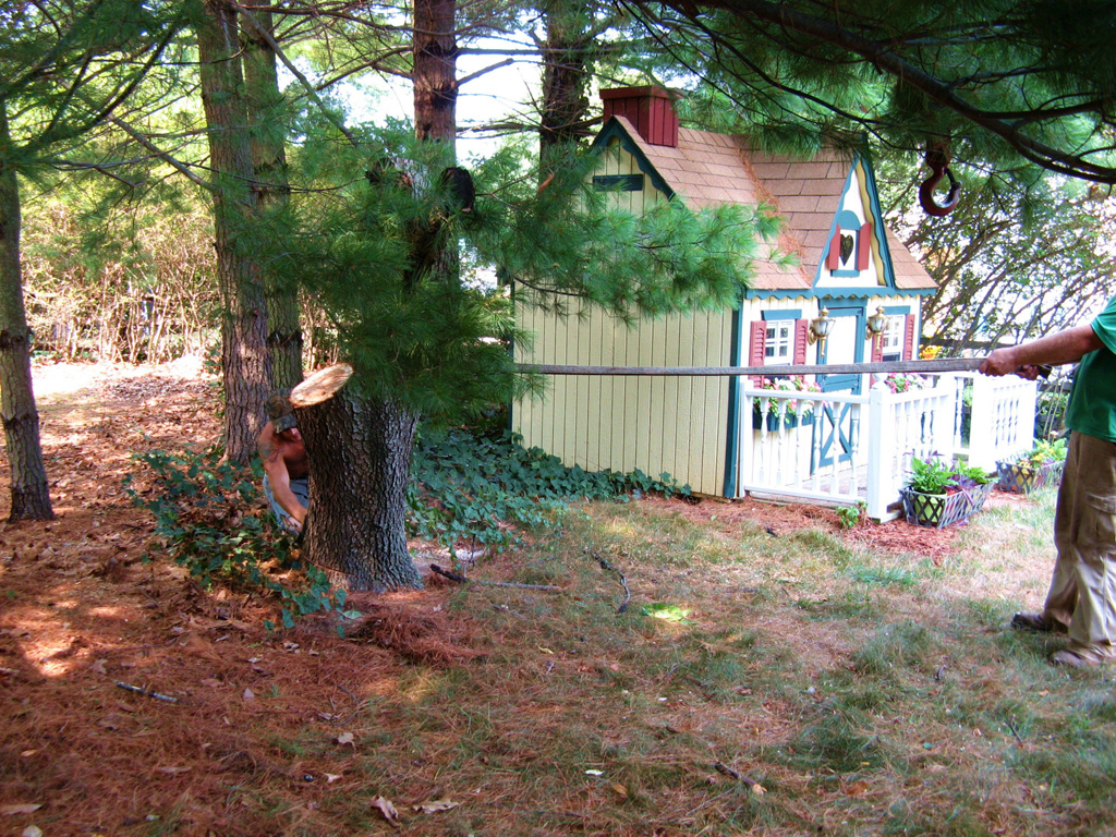 simpsonville tree pruning