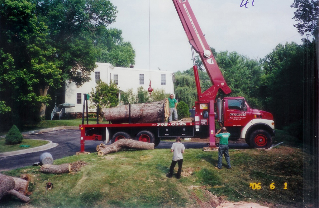 union bridge tree crane