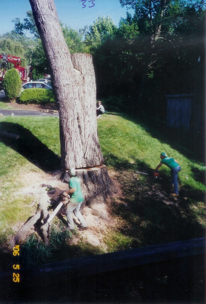 upperco tree removal