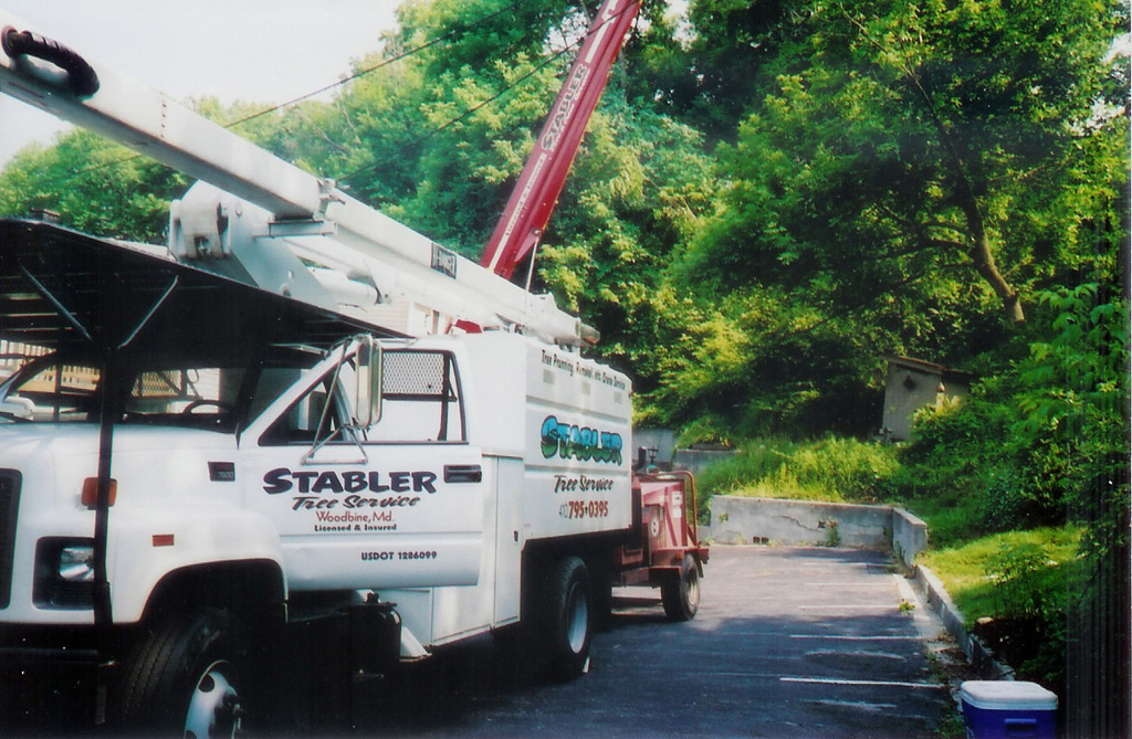 Tree Removal in Baltimore County MD Stabler Tree and Crane