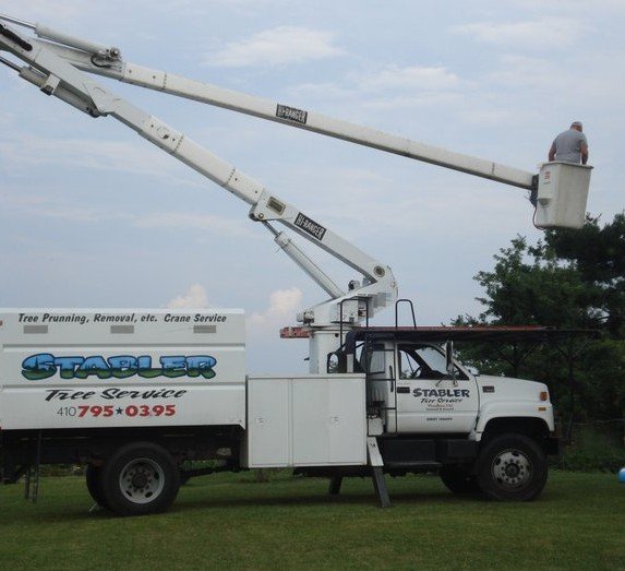 woodbine tree service